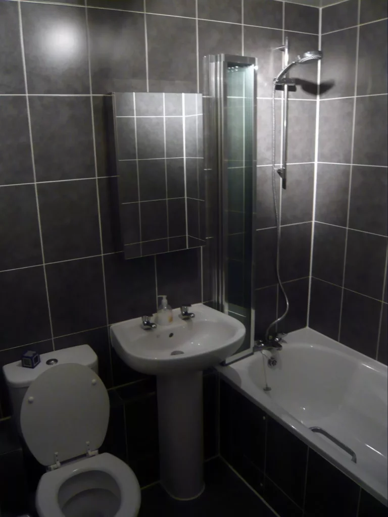 Image of a bathroom with black tiles